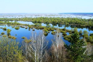 Розлив Десни, Новгород-Сіверський